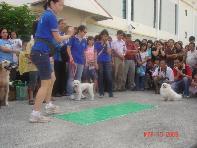Pertunjukan penjagaan anjing pada 15-3-2009